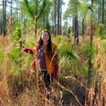 Found an animal in the longleaf pines!